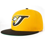 TORONTO BLUE JAYS 2006 ASG 59FIFTY FITTED HAT