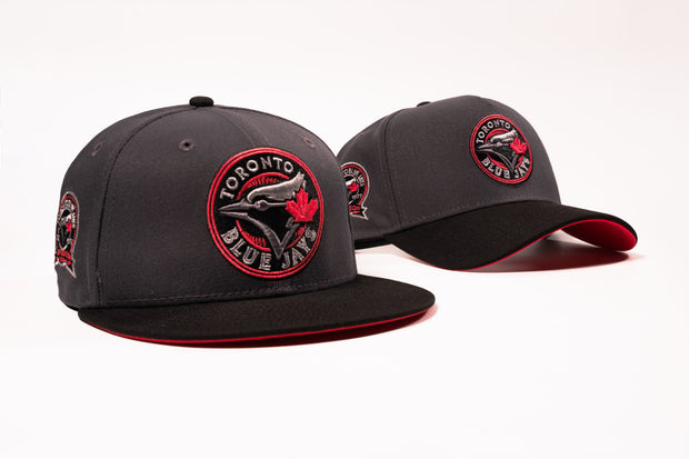 <h1><strong>BLUE JAYS</strong></h1>