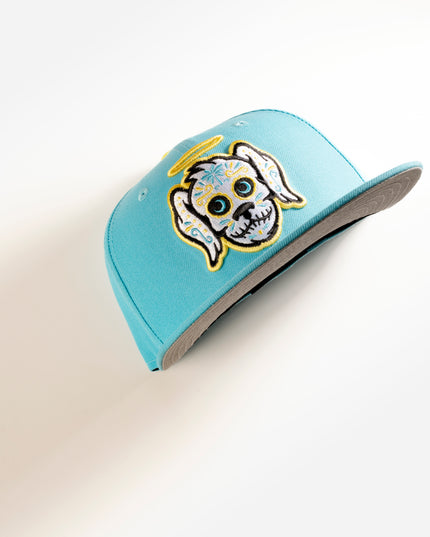 CHARLESTON RIVER DOGS COPA 59FIFTY FITTED HAT