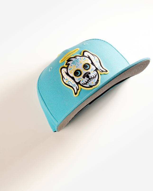 CHARLESTON RIVER DOGS COPA 59FIFTY FITTED HAT