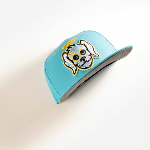 CHARLESTON RIVER DOGS COPA 59FIFTY FITTED HAT