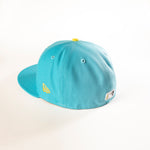 CHARLESTON RIVER DOGS COPA 59FIFTY FITTED HAT