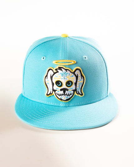 CHARLESTON RIVER DOGS COPA 59FIFTY FITTED HAT