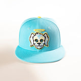 CHARLESTON RIVER DOGS COPA 59FIFTY FITTED HAT