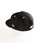 HUDSON VALLEY RENEGADES COPA 59FIFTY FITTED HAT