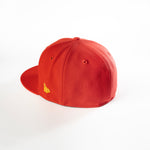 ERIE SEA WOLVES 59FIFTY FITTED HAT