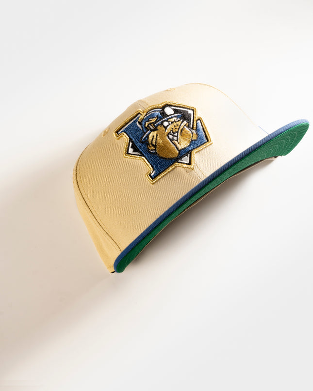 LETHBRIDGE BLACK DIAMONDS 59FIFTY FITTED HAT