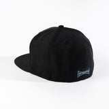 BIRMINGHAM BLACK BARONS 59FIFTY FITTED HAT