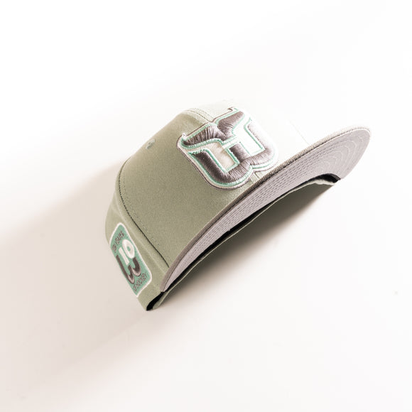 HARTFORD WHALERS EVEREST 59FIFTY FITTED HAT