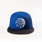 TORONTO RAPTORS KL 59FIFTY FITTED HAT