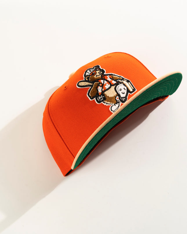 ASHEVILLE TOURISTS 59FIFTY FITTED HAT
