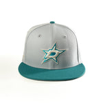 DALLAS STARS TEXAS CHILL 59FIFTY FITTED HAT
