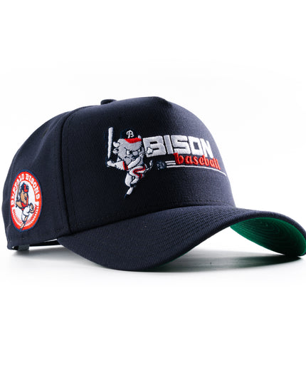 New Era Buffalo Bisons Vintage Baseball 9Forty A-Frame Snapback Hat