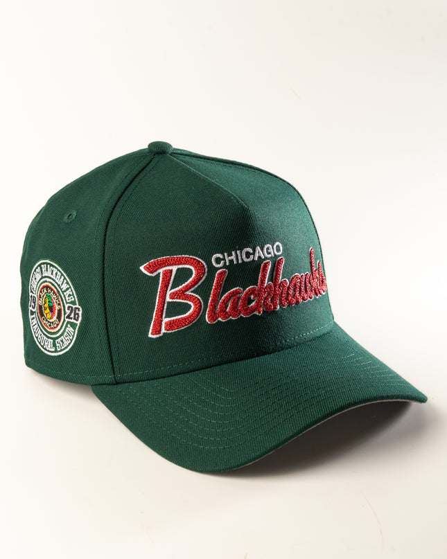 New Era Chicago Blackhawks Script 9Forty A-Frame Snapback hat Green NHL