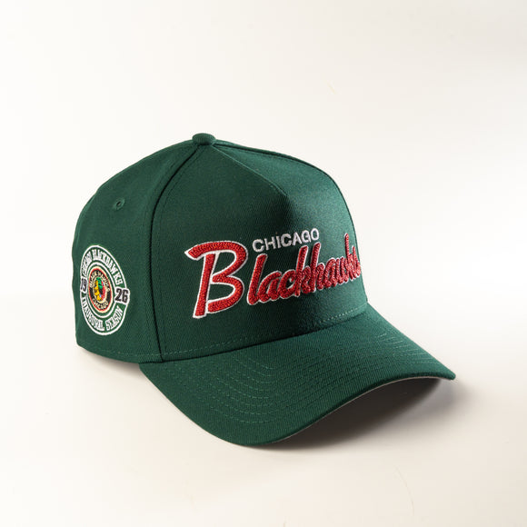 New Era Chicago Blackhawks Script 9Forty A-Frame Snapback hat Green NHL