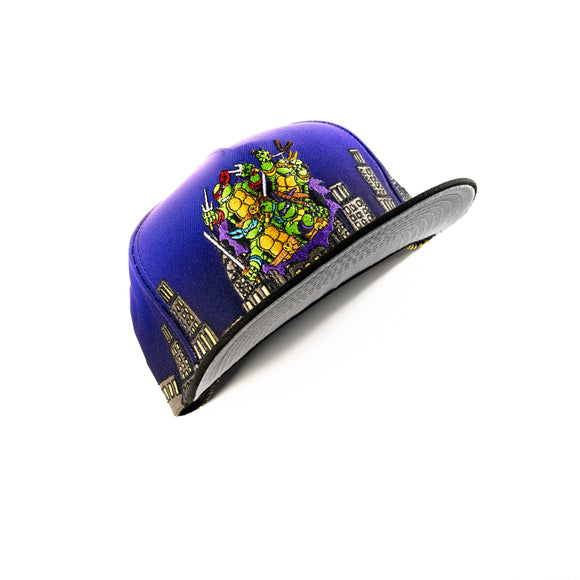 New Era Teenage Mutant Ninja Turtles 59Fifty A-Frame Fitted Hat