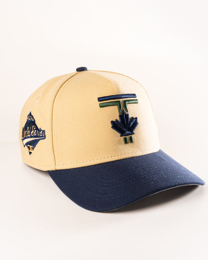 Toronto Blue Jays City Connect 9Forty A-Frame Snapback hat MLB