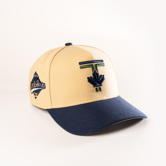 Toronto Blue Jays City Connect 9Forty A-Frame Snapback hat MLB