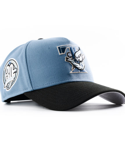 New Era Toronto Blue Jays Faded TBird 9Forty A-Frame Snapback Hat
