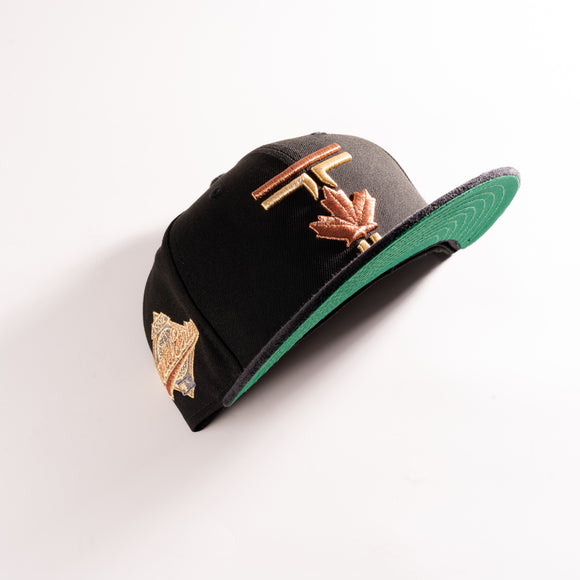 New Era Toronto Blue Jays Take Care 59Fifty Fitted Hat Black MLB
