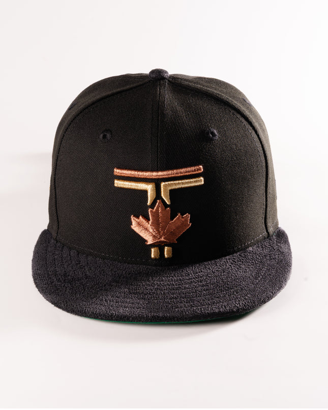 New Era Toronto Blue Jays Take Care 59Fifty Fitted Hat Black MLB