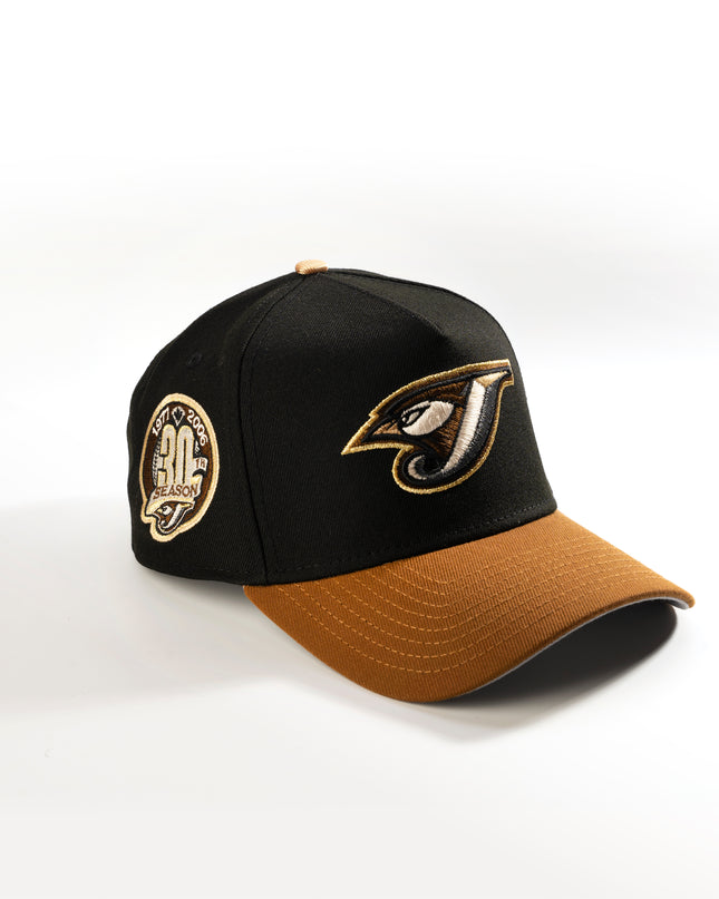 Toronto Blue Jays Toasted Peanut 2Tone 9Forty A-Frame Snapback Hat MLB
