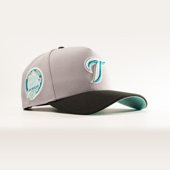 New Era Toronto Blue Jays Toothpaste 9Forty A-Frame Snapback Hat