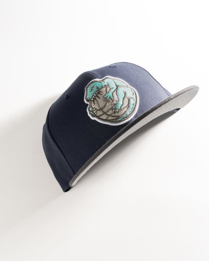 New Era Toronto Raptors Alternate Custom 59Fifty Fitted Hat