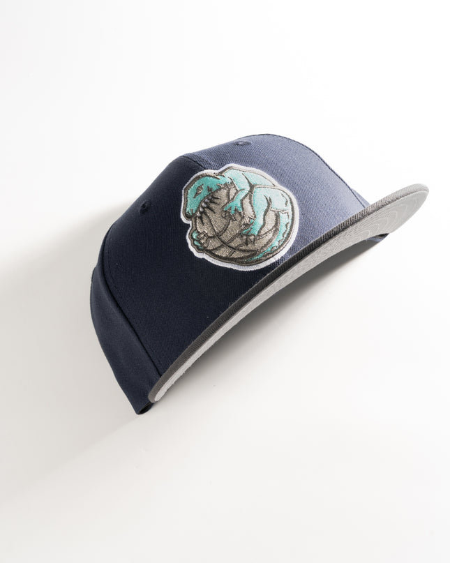 New Era Toronto Raptors Alternate Custom 59Fifty Fitted Hat