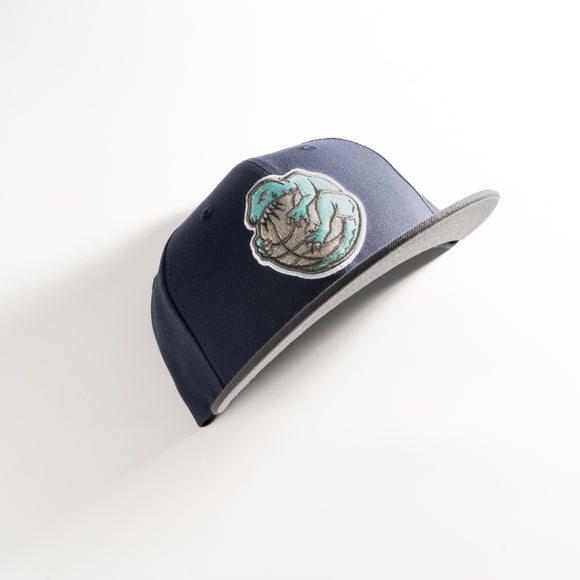 New Era Toronto Raptors Alternate Custom 59Fifty Fitted Hat