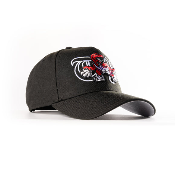 New Era Toronto Raptors TR 2.0 9Forty A-Frame Snapback Hat