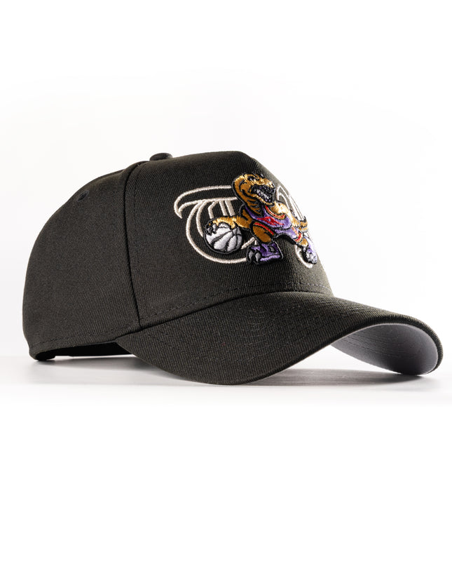 New Era Toronto Raptors TR 2.0 Gold 9Forty A-Frame Snapback Hat