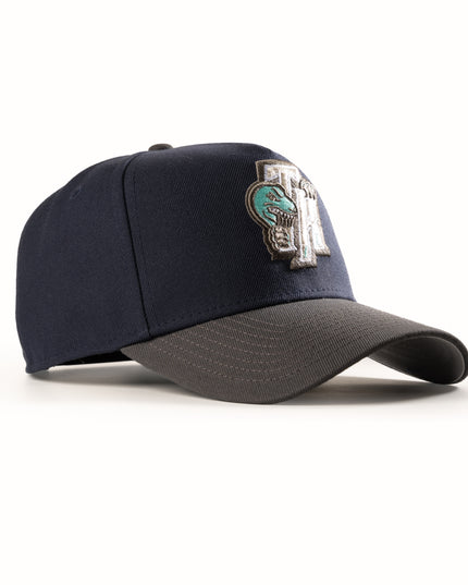 New Era Toronto Raptors TR 9Forty A-Frame Snapback Hat