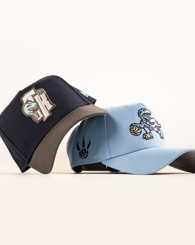 New Era Toronto Raptors TR 9Forty A-Frame Snapback Hat