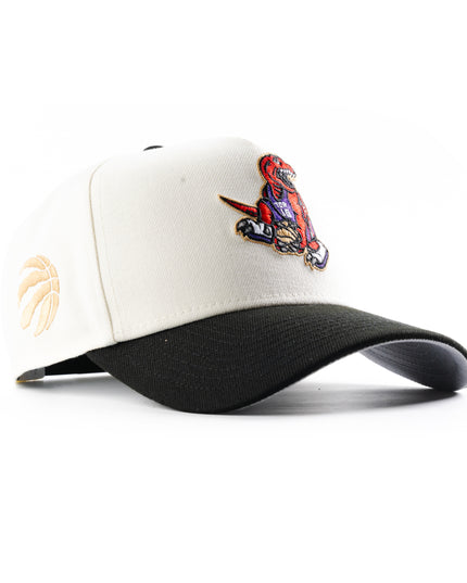 New Era Toronto Raptors Vince Carter Chrome 9Forty A-Frame Snapback Hat