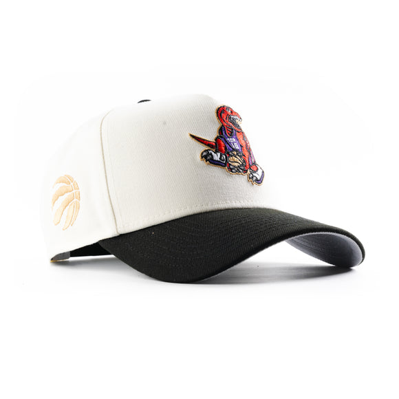 New Era Toronto Raptors Vince Carter Chrome 9Forty A-Frame Snapback Hat