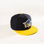 SPRINGFIELD THUNDERBIRDS 9FIFTY SNAPBACK HAT