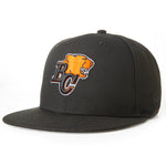 BC LIONS 94TH GREY CUP 59FIFTY FITTED HAT